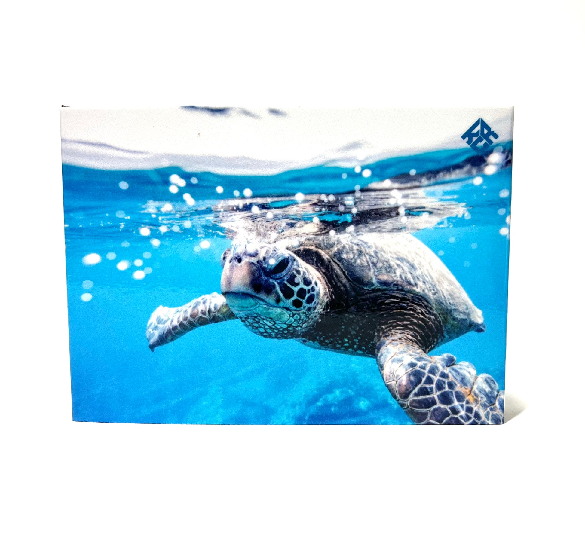 Turtle Cigarette Case Cover