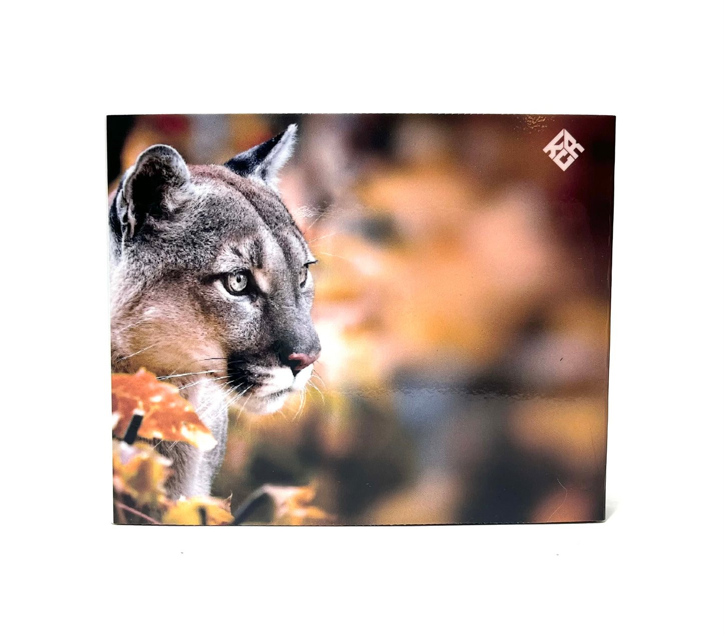 Cigarette Covers Canada - Mountain Lion Cigarette Box Cover