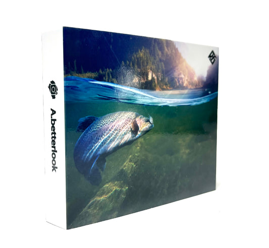 Rainbow Fish Cigarette Box Cover