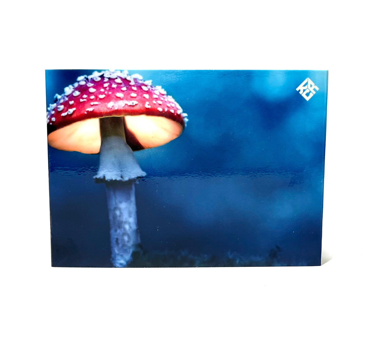 Fly Agaric Cigarette Case Cover